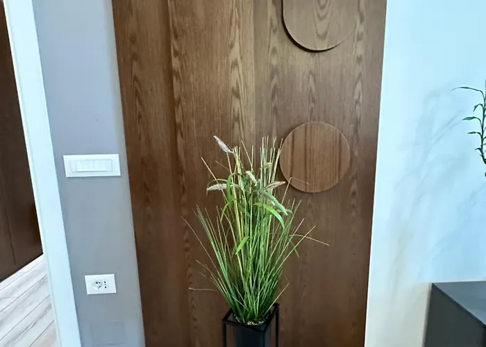 Homerent 21 Square *